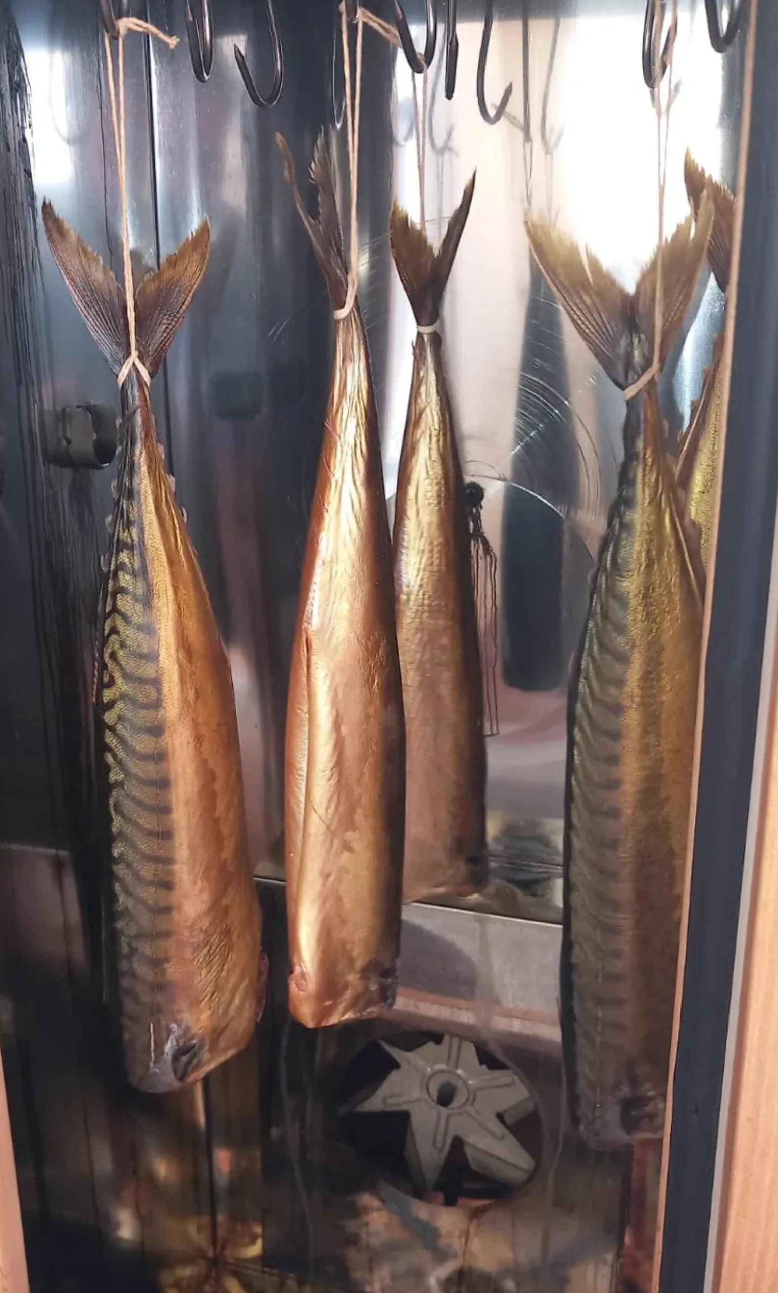 Räucherkammer Classic 15 5